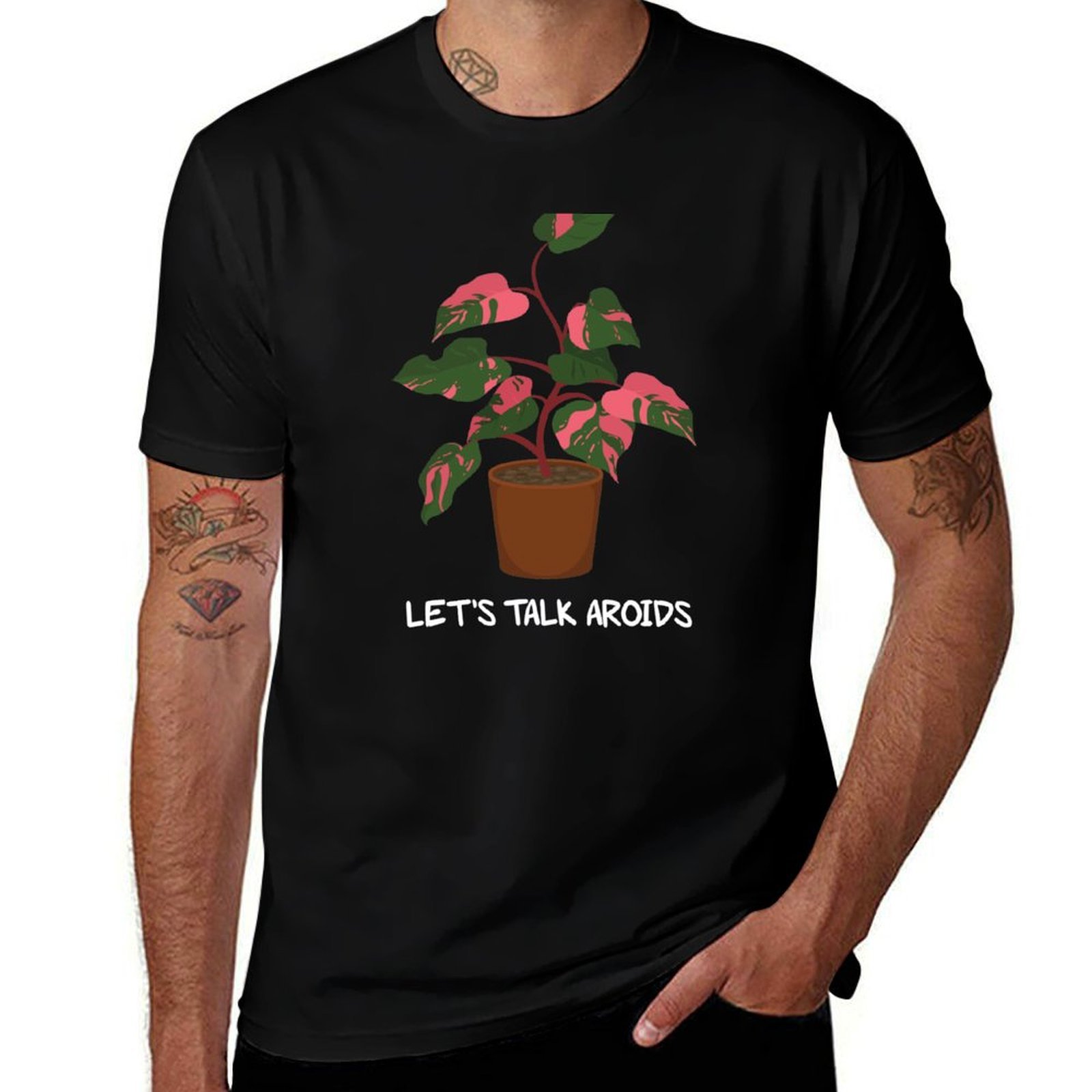 Let's Talk Aroids Pembe Prense - Philodendron Pink Princess incelemesi ve fiyatı