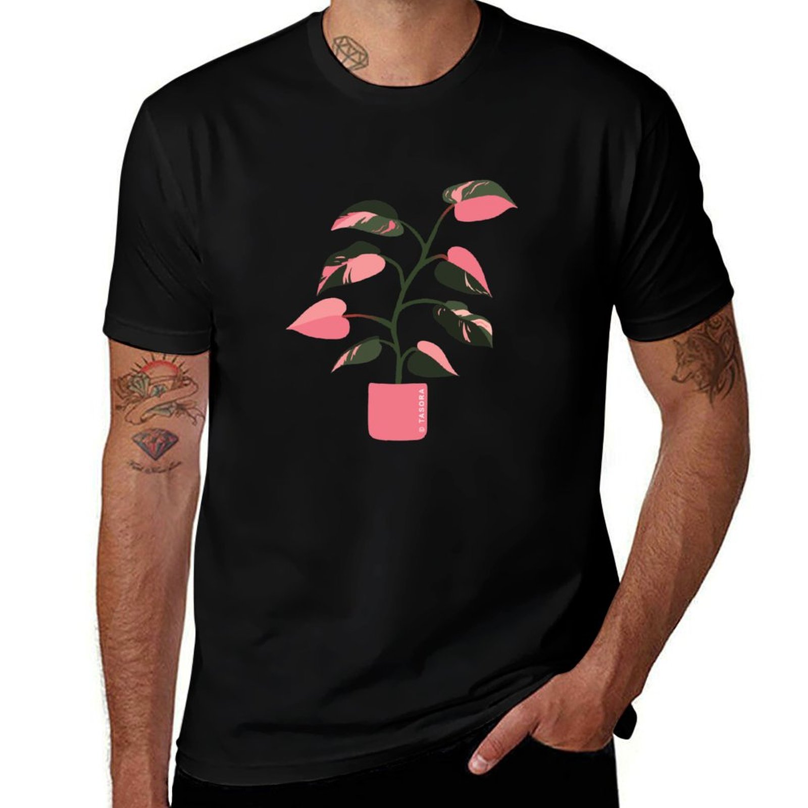 Filodendron Pembe Prenses Sana - Philodendron Pink Princess incelemesi ve fiyatı